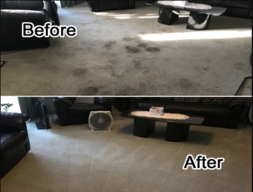 Before and after comparison of a heavily stained living room carpet cleaned by a professional mobile service