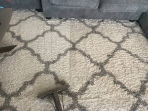 Professional area rug cleaning on a gray trellis pattern rug in a Chino Hills living room using hot water extraction