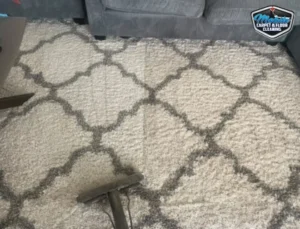 Gray and white trellis pattern area rug being professionally cleaned in a living room with wand visible