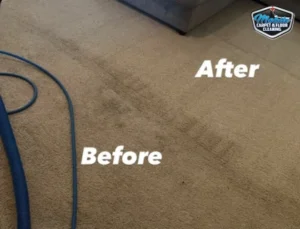 Before and after carpet cleaning in a living room with the cleaning hose visible across the restored section