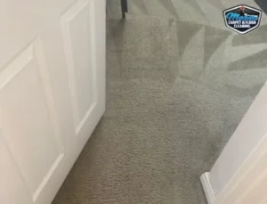 Freshly cleaned light gray carpet in a hallway near closet doors in a Chino Hills home