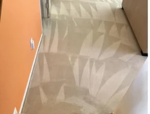 Freshly steam cleaned beige hallway carpet showing fan shaped wand pass patterns