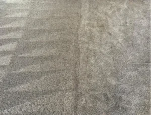 Freshly cleaned carpet showing wand pass lines on one side next to the still-soiled section before cleaning